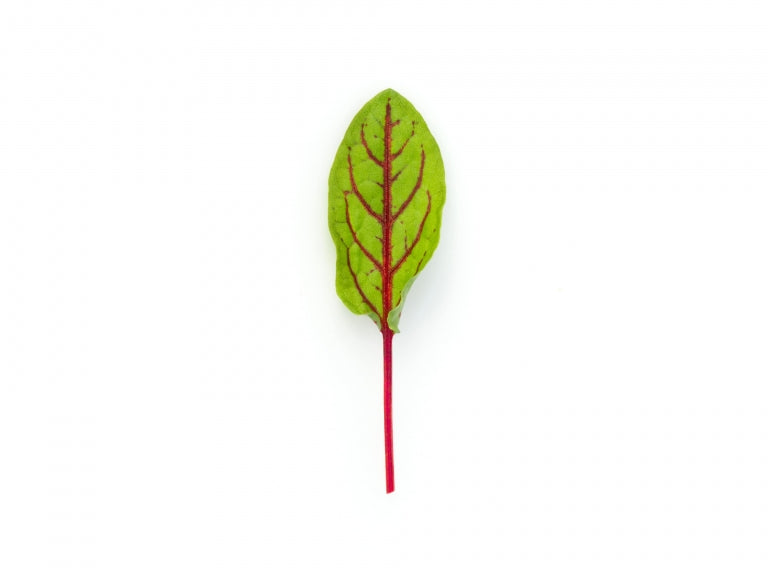 VENA CRESS