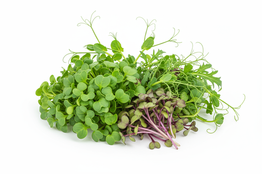 


microgreens mix: Broccoli, Daikon radish, Pea, and Mizuna sfono dbianco 